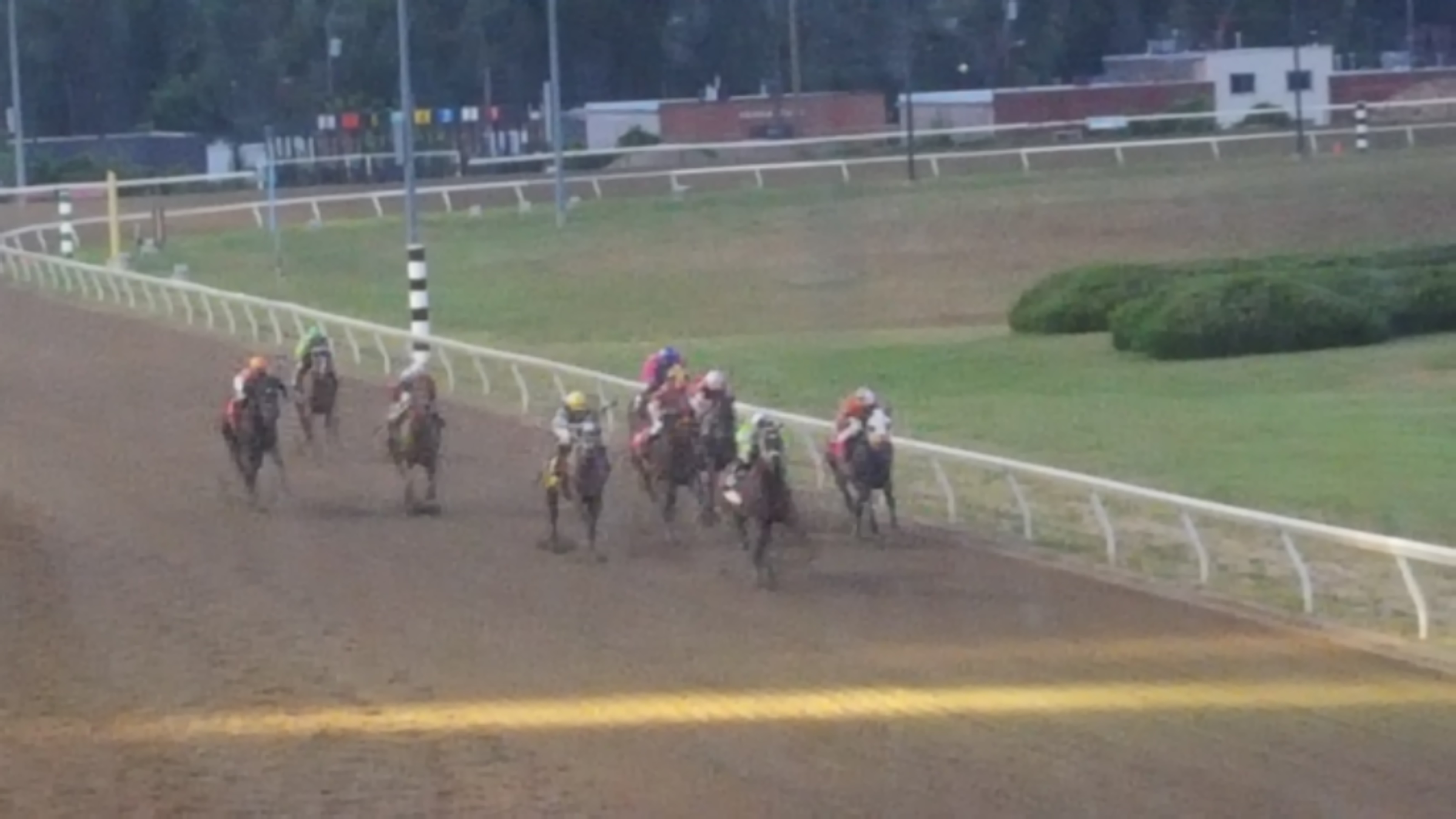Saubier Law firm clients enjoy a night at the Hazel Park Raceway